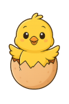 Baby Chick